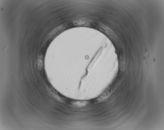 X0000080110085200701051340