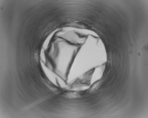 X0000080110086200701051340