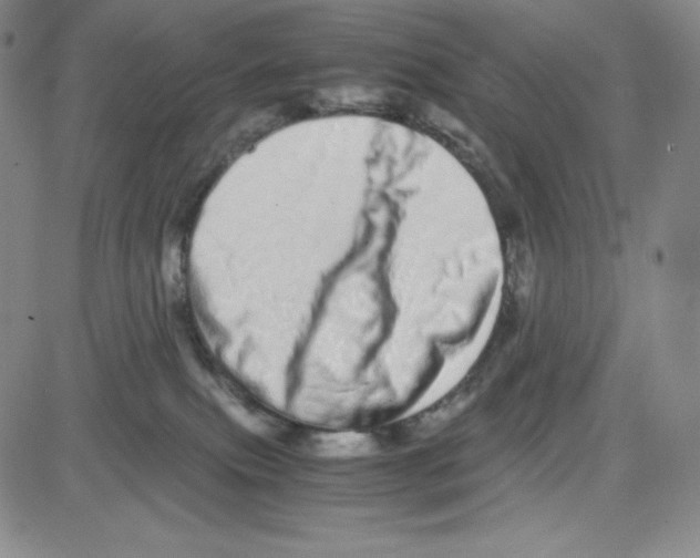 X0000080110087200701051340