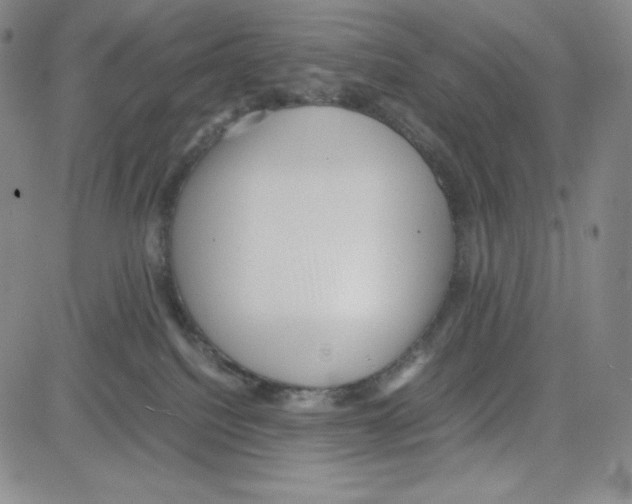 X0000080110088200701051340