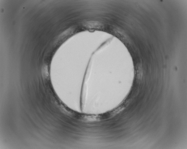 X0000080110089200701051340