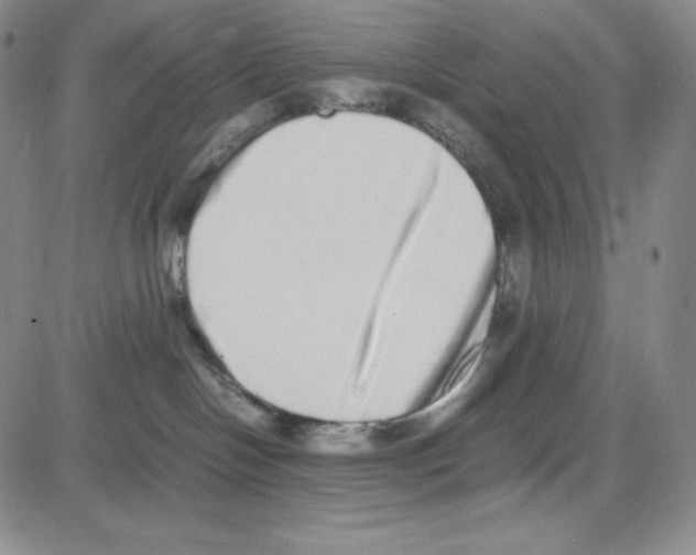 X0000080110094200701051340