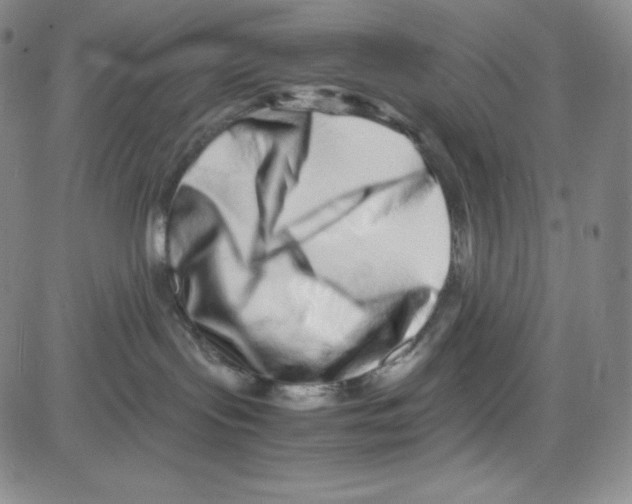 X0000080110095200701051340