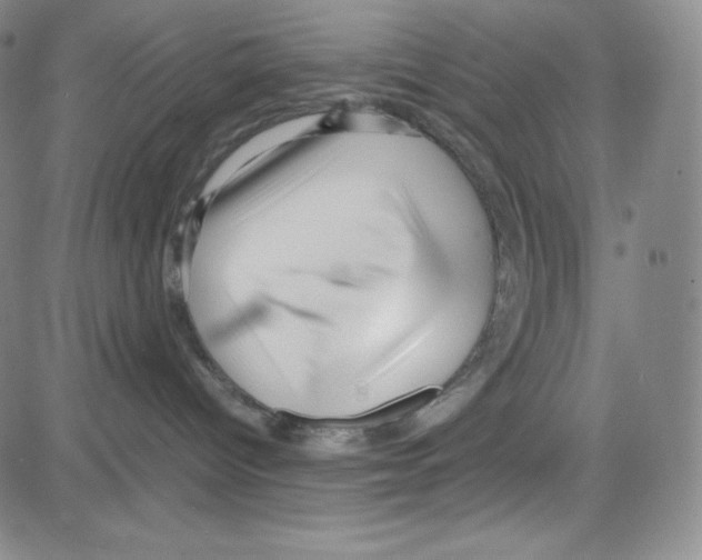 X0000080110096200701051340