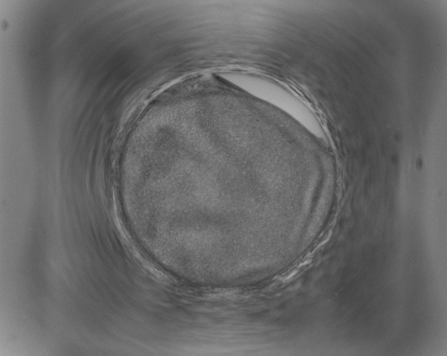 X0000080110097200701051339