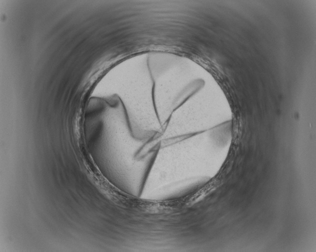 X0000080110098200701051339