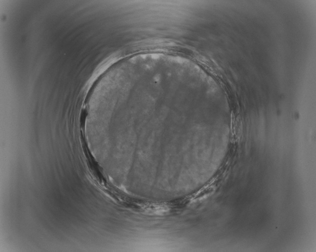 X0000080110099200701051339