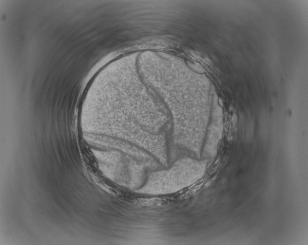 X0000080110100200701051339