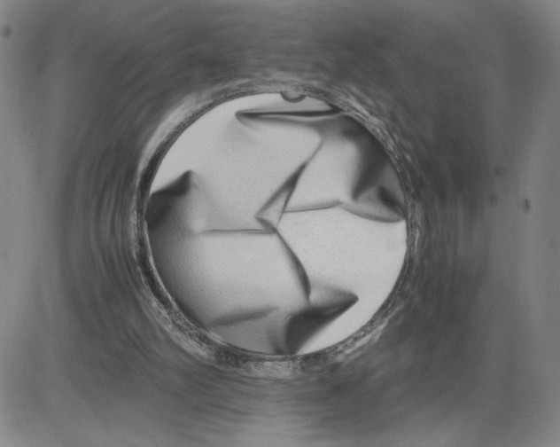 X0000080110102200701051339