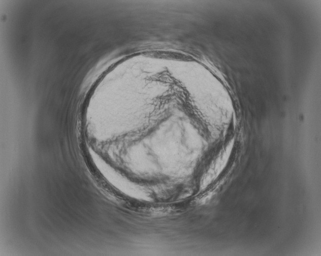 X0000080110103200701051339