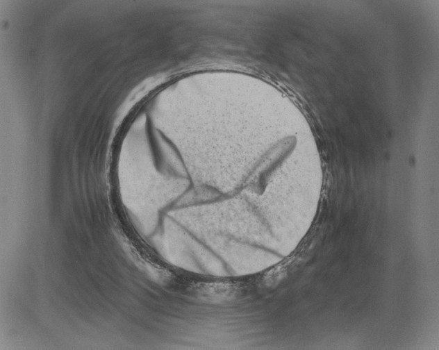 X0000080110104200701051339