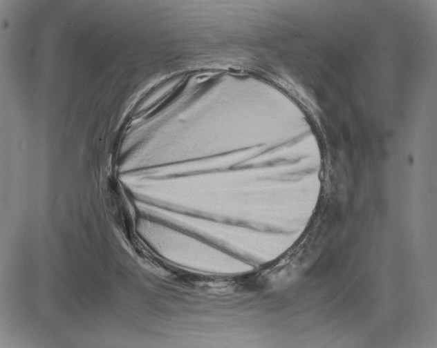 X0000080110107200701051339