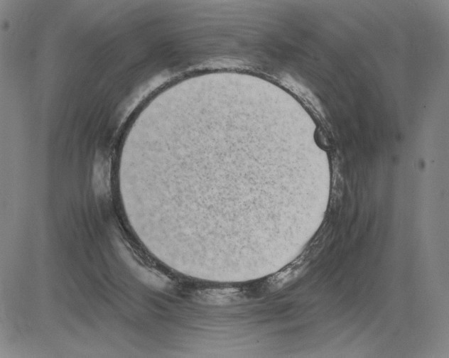 X0000080110108200701051339