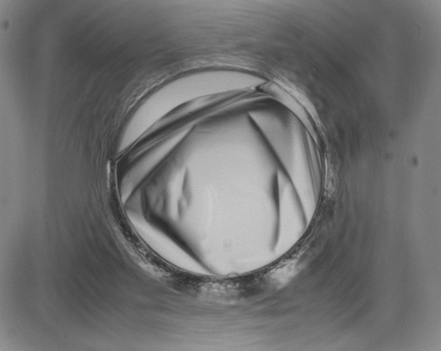 X0000080110109200701051339