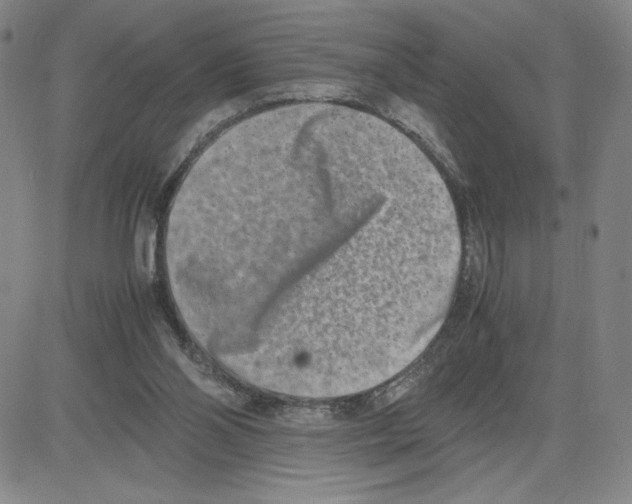 X0000080110110200701051339