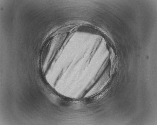 X0000080110111200701051339