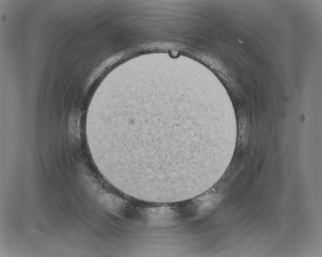 X0000080110112200701051339