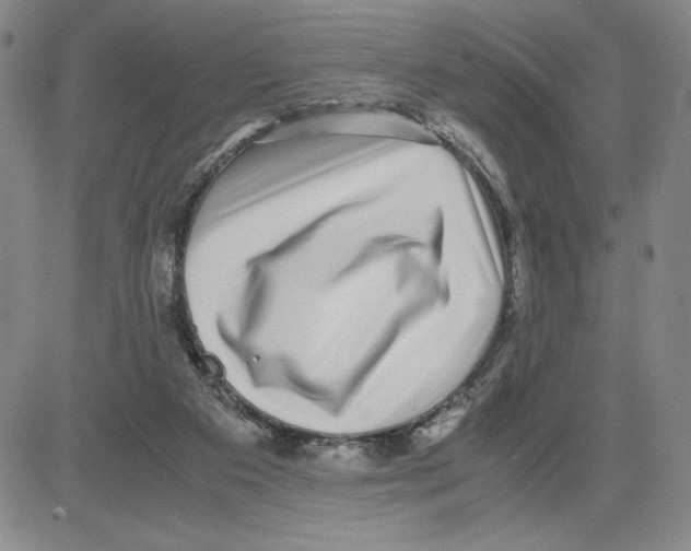 X0000080110113200701051339