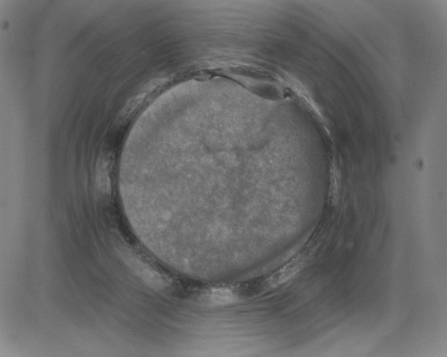 X0000080110114200701051339