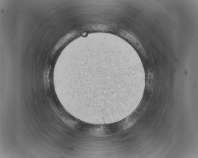 X0000080110116200701051339