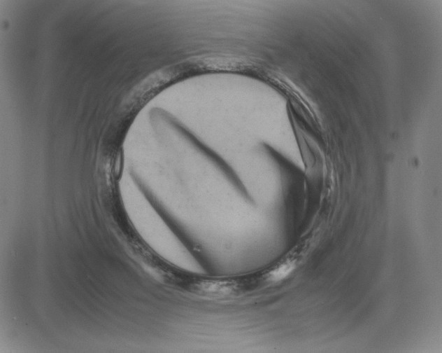 X0000080110117200701051339