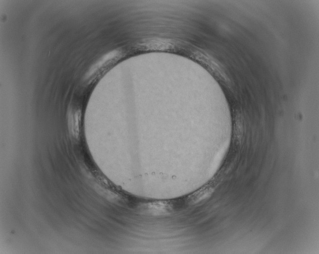 X0000080110118200701051339