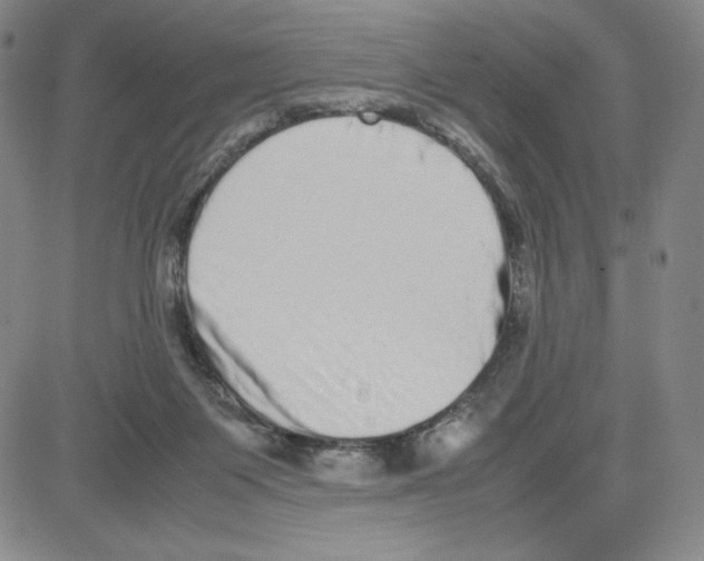 X0000080110119200701051339