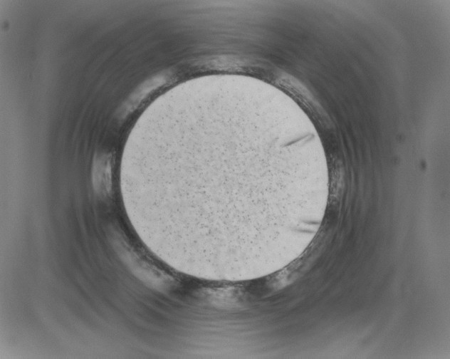 X0000080110120200701051339