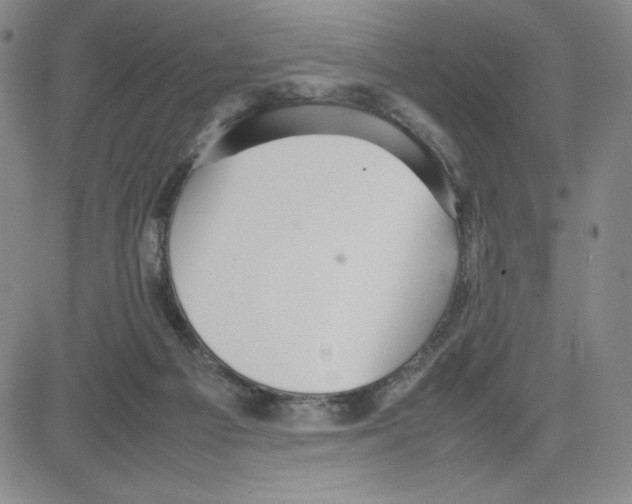 X0000080110121200701051339