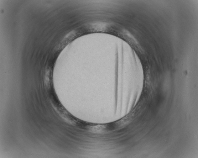 X0000080110122200701051339