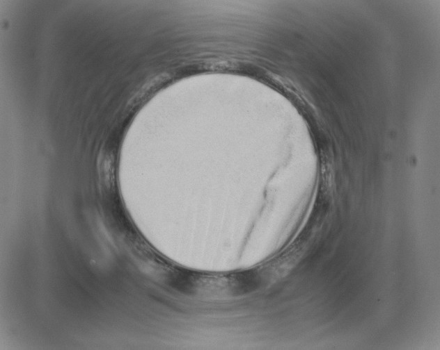 X0000080110123200701051339