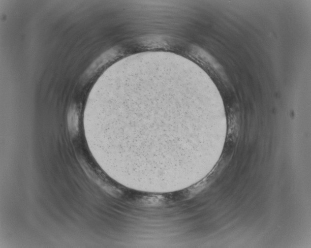 X0000080110124200701051339