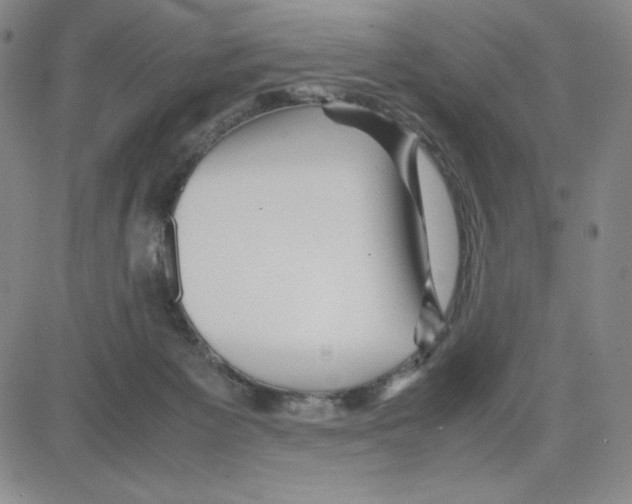 X0000080110125200701051339