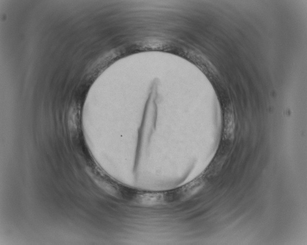 X0000080110126200701051339