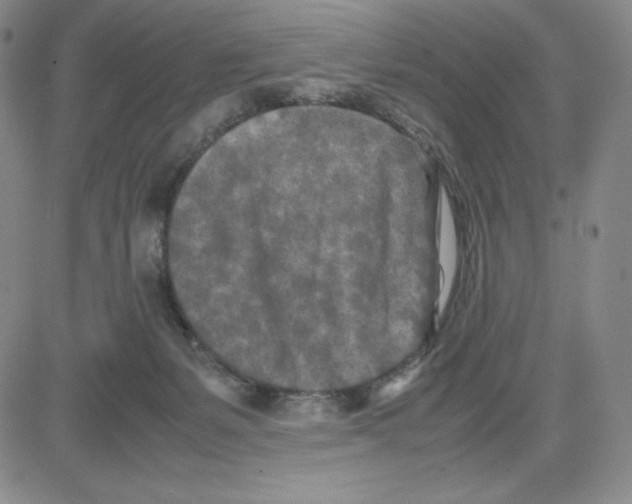 X0000080110127200701051339