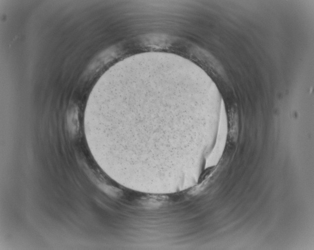 X0000080110128200701051339