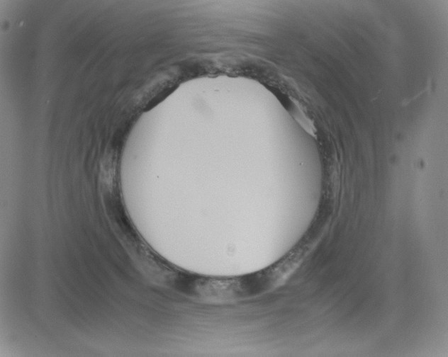 X0000080110129200701051339