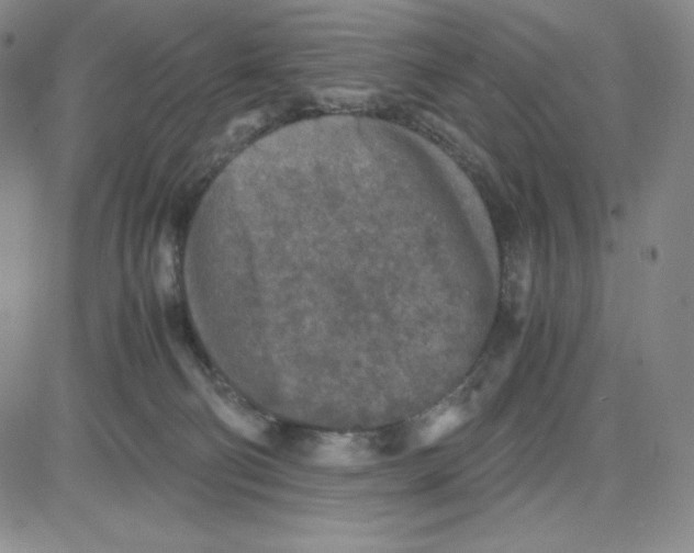 X0000080110130200701051339