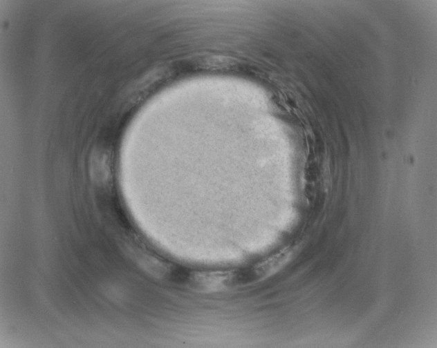 X0000080110131200701051339