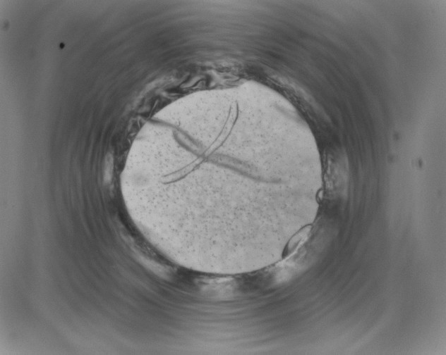 X0000080110132200701051339