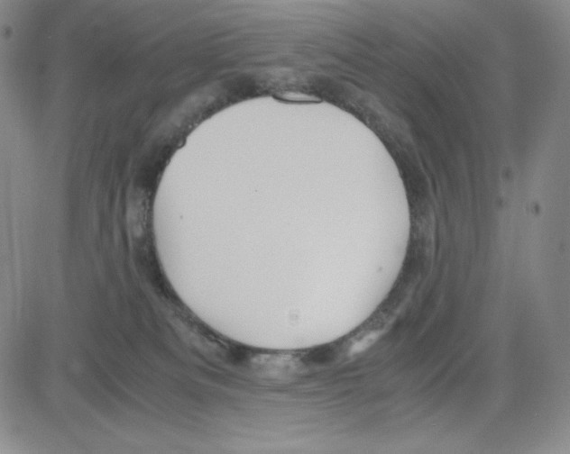 X0000080110133200701051339