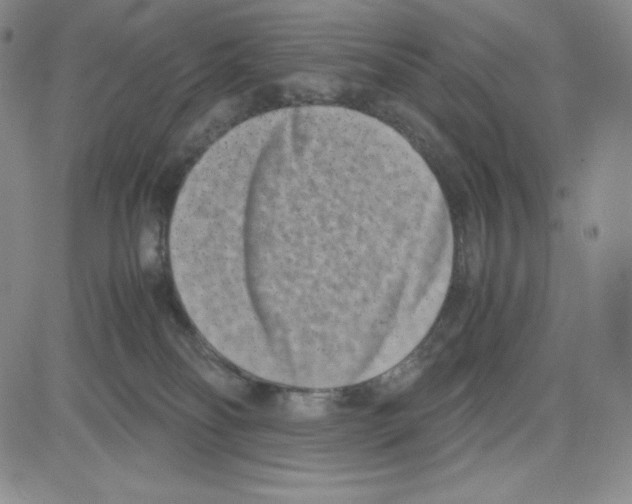 X0000080110134200701051339