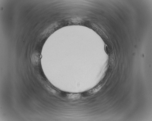 X0000080110135200701051339