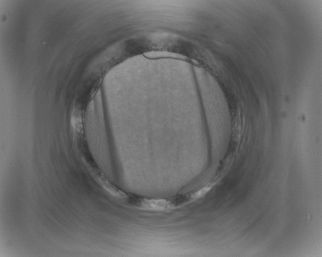 X0000080110137200701051339