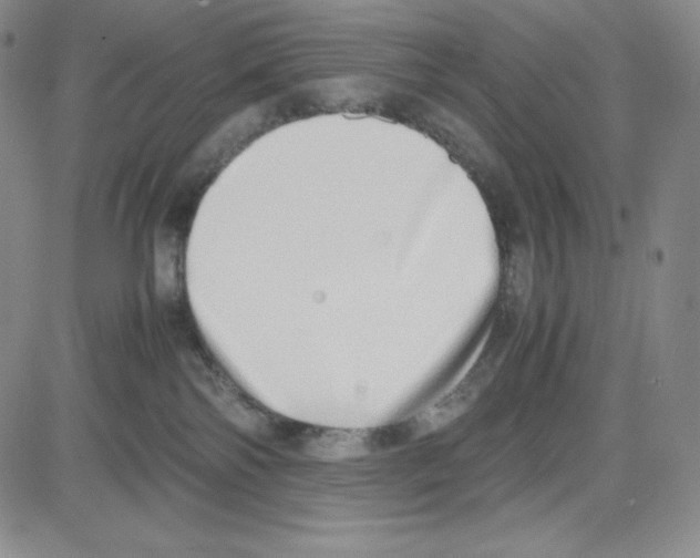 X0000080110138200701051339