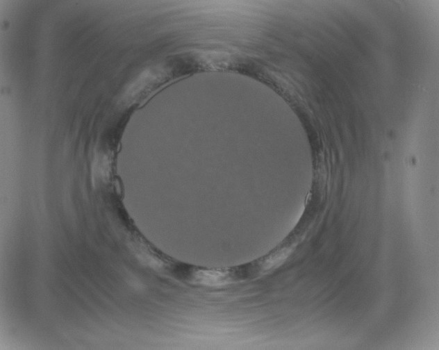 X0000080110139200701051339