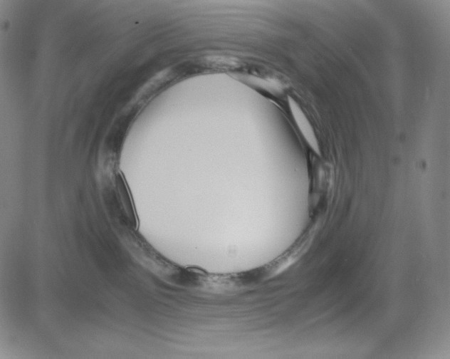 X0000080110141200701051339