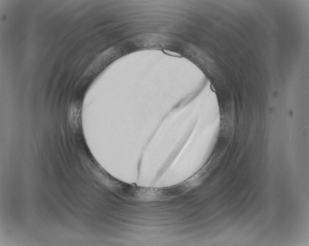 X0000080110142200701051339