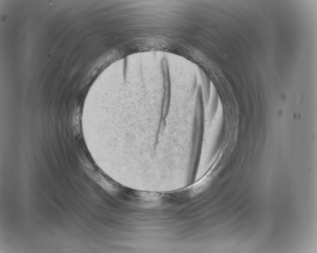 X0000080110144200701051339