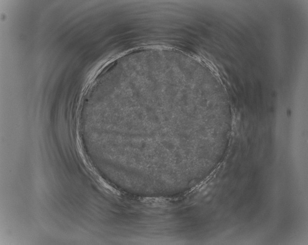 X0000080110145200701051338